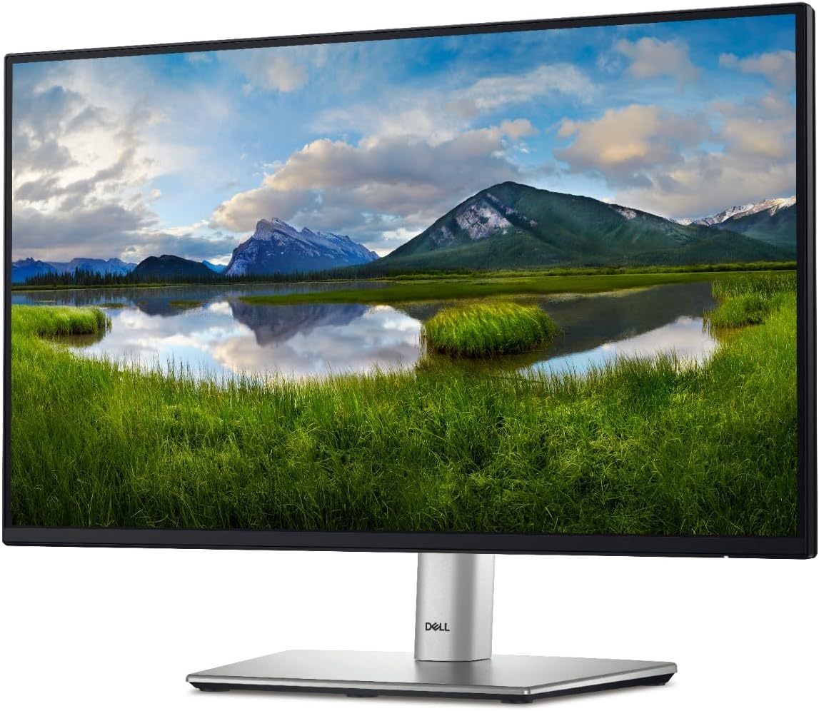 Dell P2425HE 24 Inch IPS Monitor FHD 100Hz USB-C Hub 90W Type-C RJ45 LAN Office Monitor