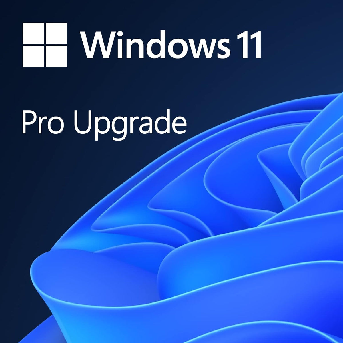 Microsoft Windows 11 Pro 64-bit | USB Box Set (FPP) | English (HAV-00163)